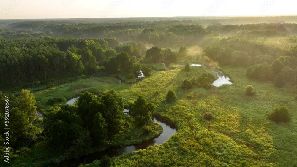 Beautiful morning over the forest and river - drone aerial view Beautiful morning over the forest and river - drone aerial view
