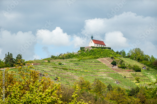 Sonnenbeschienener Hügel mit Weinberg und Kapelle vor blauem Himmel mit weißen Wolken. Sankt-Remigius-Kapelle bei Wurmlingen.