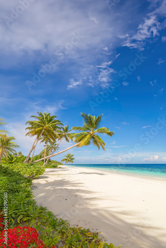Coconut Palms on Tangalle Beach  Sri Lanka.