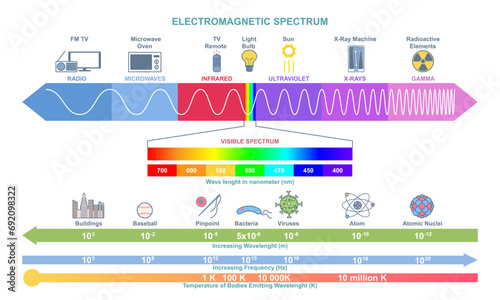 Electromagnetic Spectrum infographic vector concept