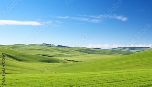Breathtaking landscape vast expanse of lush green fields under serene blue sky with fluffy clouds © Ilja