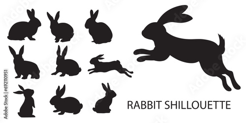 silhouette of rabbit vector photo