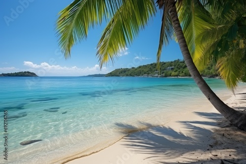 A beautiful beach with a single palm tree standing tall against the clear blue water.