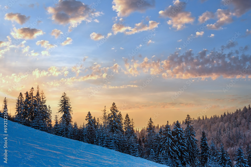 Winter Ukrainian Carpathian Mountains landscape.