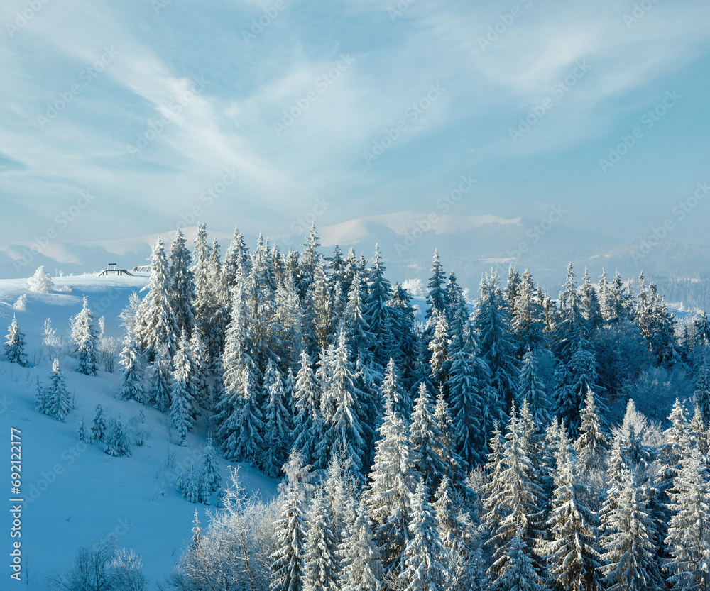 Morning winter calm mountain landscape with beautiful frosting trees and snowdrifts on slope (Carpathian Mountains, Ukraine).