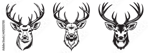 Set of deer heads with horns, black and white heads of forest animals, decoration of room, home, wall vector illustration photo