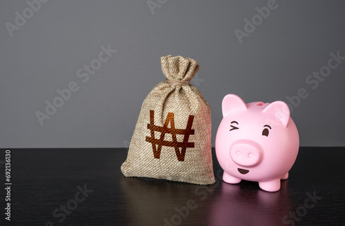 Winking piggy bank and south korean won money bag. Loans and credits, mortgage. Economics and currency exchange, stock market. Banks and finance. Investments. Funding and grants. Deposits and savings. photo