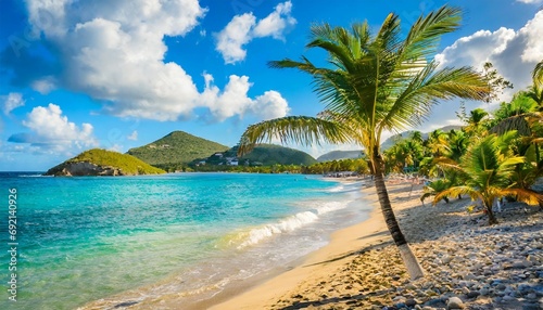 palm beach in tropical paradise guadalupe island caribbean © Emanuel