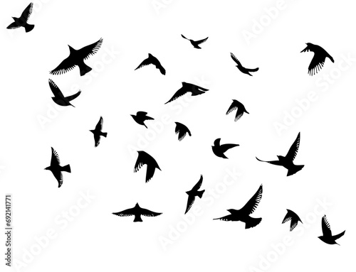Flying birds silhouette flock. hand drawing. Not AI. Vector illustration © Мария Неноглядова