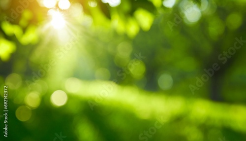 green blurred background and sunlight