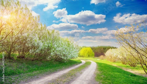defocused spring landscape beautiful nature with flowering willow branches and forest road against blue sky with clouds soft focus ultra wide format