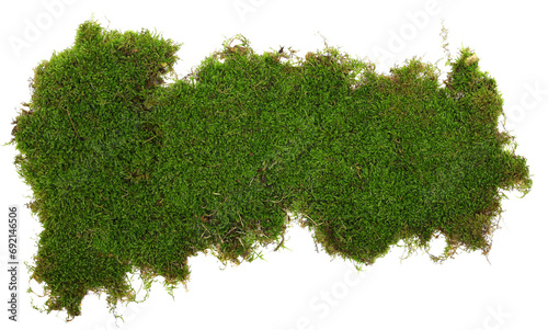 Canvas Print Green moss piece isolated on white background, top view