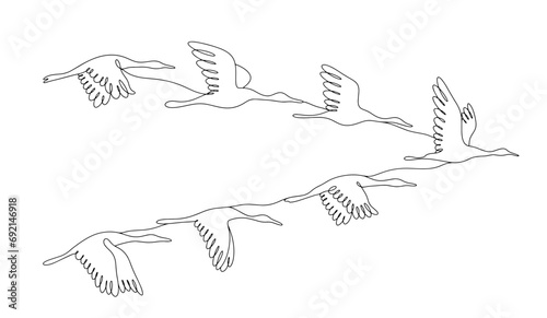 Cranes. Cranes wedge. Migratory birds. One line