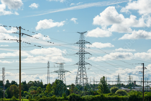 Industrial nature landscape with many high voltage power lines transmission pylons, birds on wires