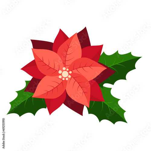 Poinsettia isolated on white. . Traditional christmas decoration. Hand drawn vector illustration isolated on white background, flat cartoon style.