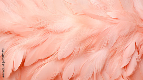 Background of delicate peach-colored feathers close-up