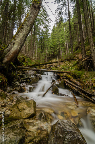 Long exposure of river in the forest in Zakopane  Poland in Tatra park in May during spring with colourful leaves and rocks are so amazing with smooth water like painting.