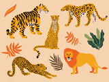 Set of wildlife animals vector illustrations, collection of tiger, lion, cheetah, leopard exotic plants, tropical leaves isolated on a light background. Bundle of wild cats art