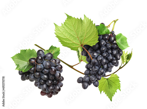 Delicious fresh grapes and green leaves falling on white background