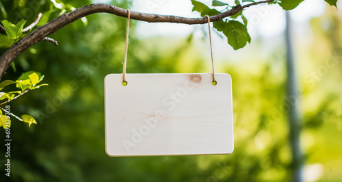 Empty wooden sign hanging on a rope in front of the background of a nature park. wooden panel and green plant