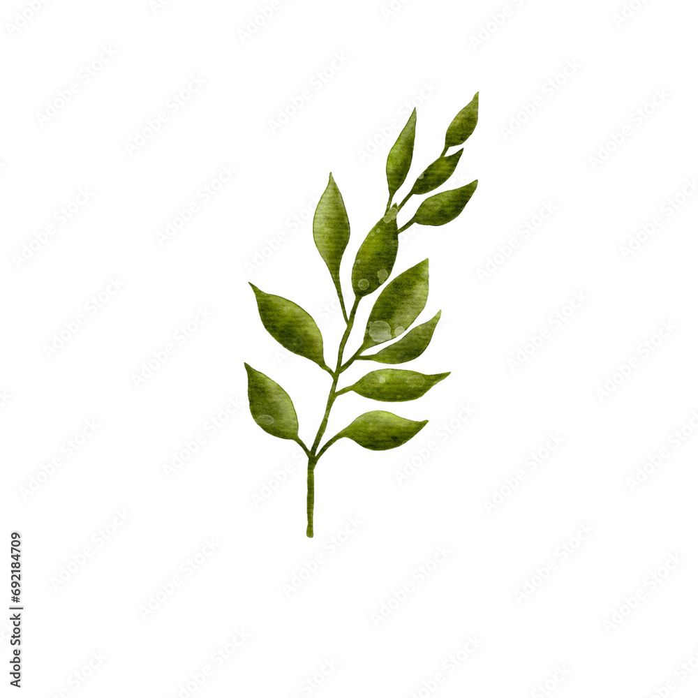 Leaf Leaf