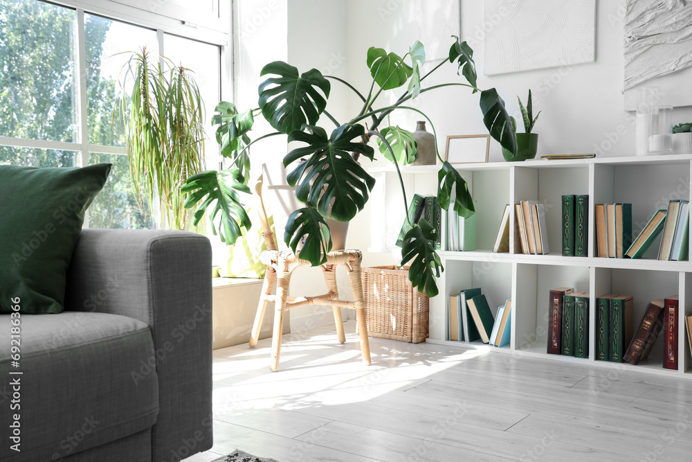 Interior of living room with shelving unit and houseplants - obrazy, fototapety, plakaty 