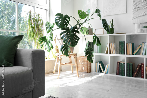 Interior of living room with shelving unit and houseplants