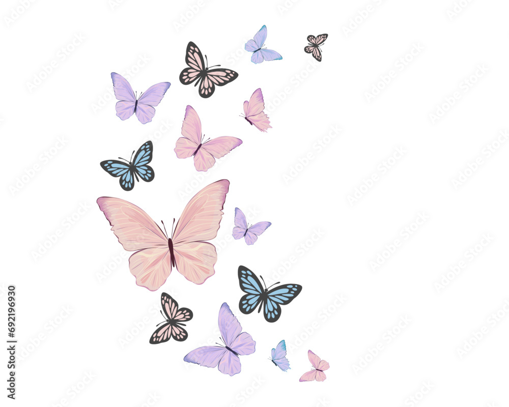 set of butterflies set of butterflies