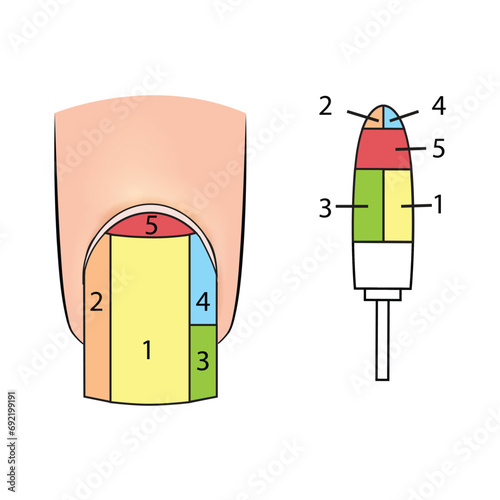 Illustration with working surfaces for a nail manicure cutter. Educational material
