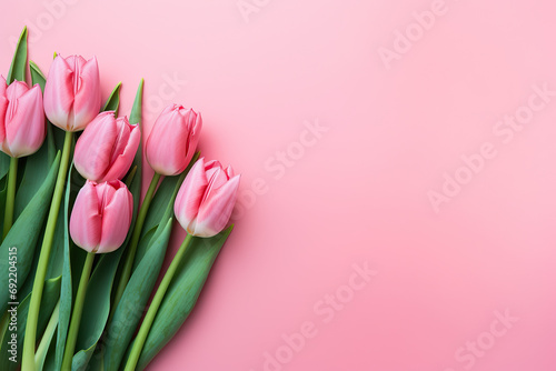 Frame with bouquet of Pink Tulips Flowers, Mother s Day, 8 March, anniversary, pink background. Empty Space © Koray