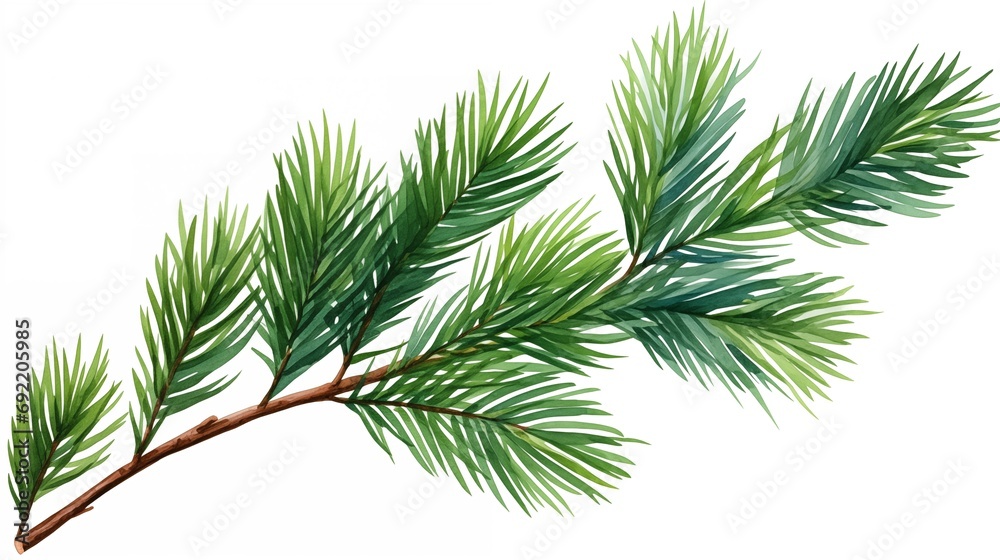 A Beautiful Pine Tree Branch With Lush Green Leaves A Beautiful Pine Tree Branch With Lush Green Leaves