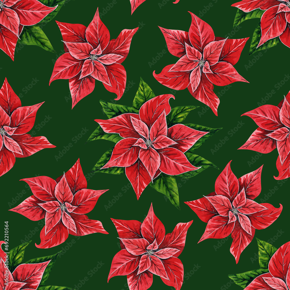 Christmas seamless pattern with poinsettia flowers, hand painted watercolor illustration. Floral illustration for Christmas, New Year decoration, postcards, invitations.