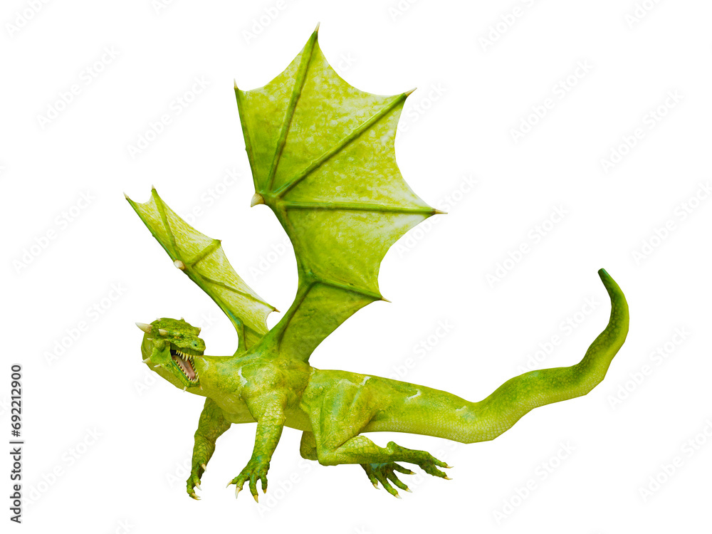 Obraz premium ドラゴン