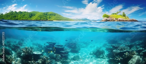 Beautiful Colorful Rich Coral Reefs of Yabiji Miyako Island Okinawa in Crystal Clear Water. Copy space image. Place for adding text or design © Ilgun