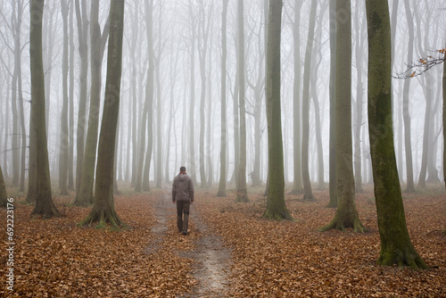 Laubbäume im Wald bei Nebel - einsamer Waldspaziergang photo