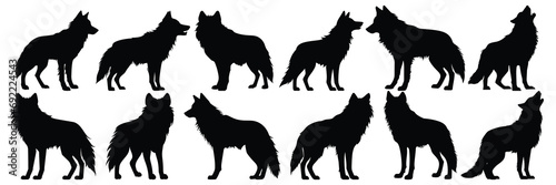 Wolf silhouettes set, large pack of vector silhouette design, isolated white background