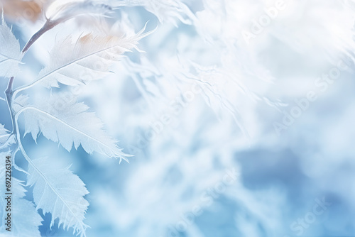 Frame of frozen leaves. Ice blue background. Cold winter theme.