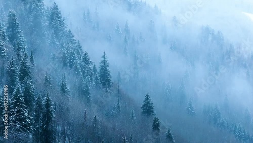 Foggy forest while snowing, drone video, Winter Mountains, Vail Colorado, 4K photo