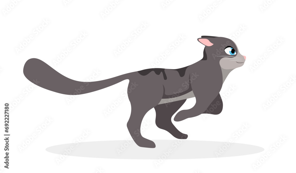 Cute running cat. Charming tabby kitten with gray fur and long tail walks and rushes forward. Animal moving and pushing off ground. Cartoon flat vector illustration isolated on white background