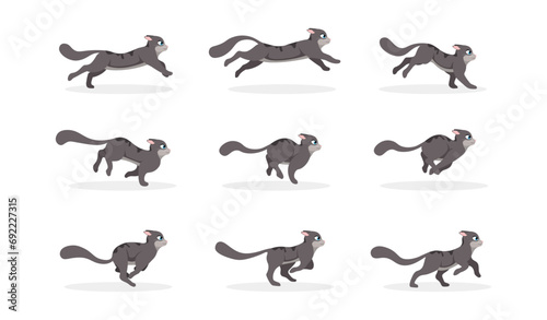 Cat Run cycle Animation frames. Sprites sheet for animating moving pet or kitten. Walking or rushing animal. Design for video clip. Cartoon flat vector illustration set isolated on white background
