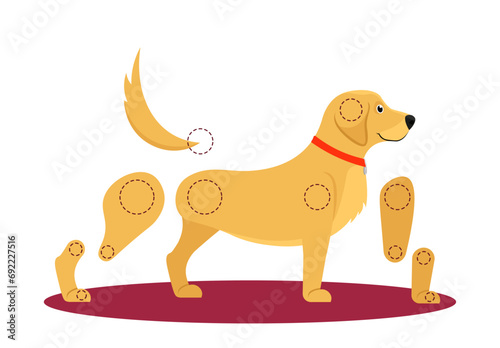 Set of assets to animate cute dog. Character Constructor Elements for Frame by Frame Animation. Adorable puppy with moving paws, tail and ears. Cartoon flat vector illustrations isolated on background