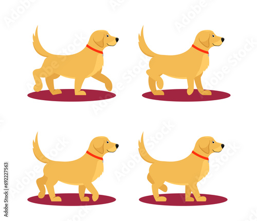 Set of assets to animate cute dog. Sprites sheet for animation of walking dog frame by frame. Fluffy puppy in motion. Design for game. Cartoon flat vector illustrations isolated on white background