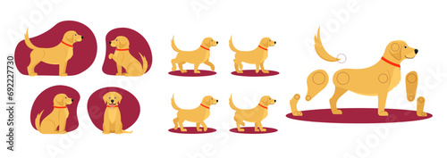 Set of assets to animate cute dog. Body parts of adorable pet or animal for animation of walk frame by frame. Portrait of happy puppy. Cartoon flat vector illustrations isolated on white background