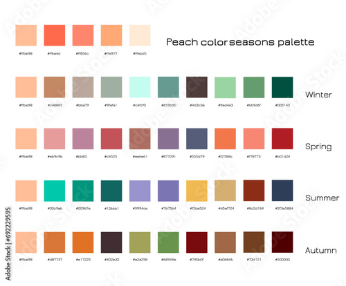 Peach color palette. Winter, spring, summer, autumn seasons color samples with hex codes. Color trends concept.