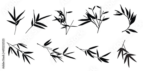  Collection of bamboo leaf silhouettes on a white background. Vector © Muginandaru