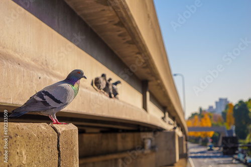 はとぽっぽ（2023年） photo