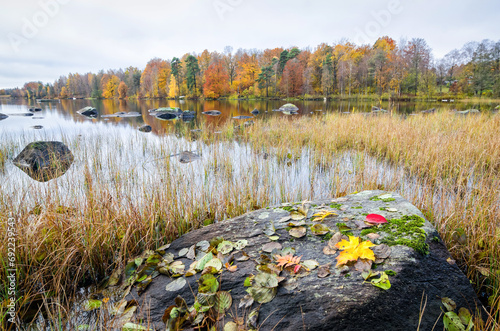 Begining of November on the Swedish lake coast