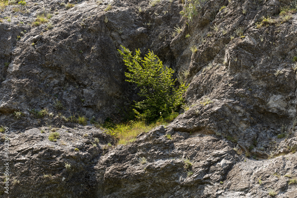 Balkan mountain range, known locally also as Stara planina. The mountain chain of the folded mountains. Balkan mountain range, known locally also as Stara planina. The mountain chain of the folded mountains.