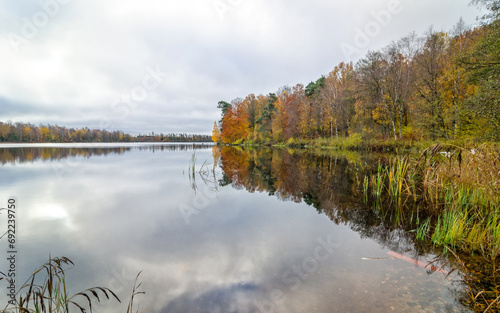 Autumn lake morning in Sweden