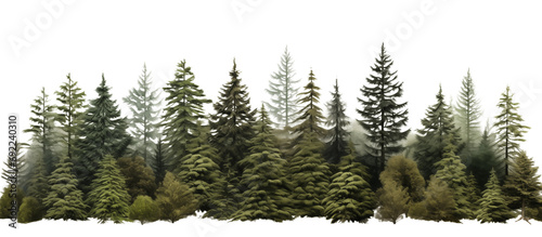 Green evergreen fir pine spruce trees treeline isolated on transparent background. Generative AI
